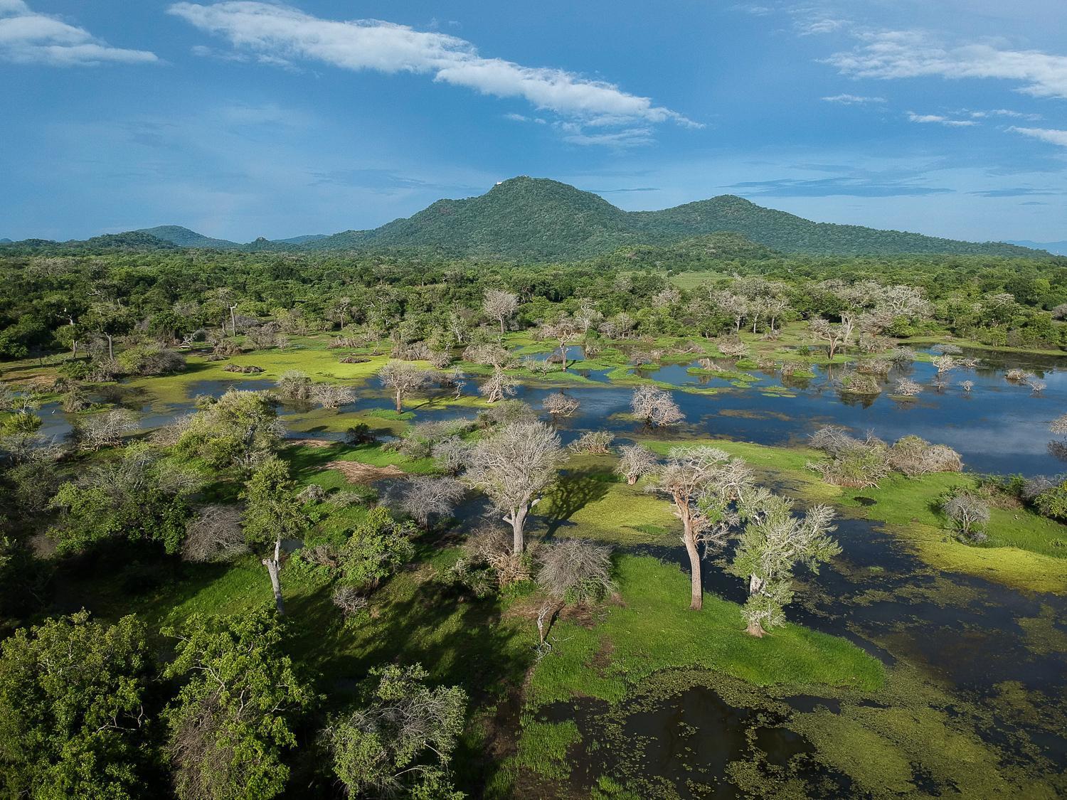 Hotel Kulu Safaris Parque nacional Parque nacional Yala Exterior foto