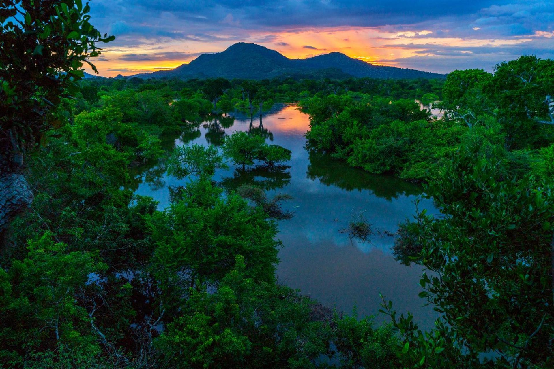 Hotel Kulu Safaris Parque nacional Parque nacional Yala Exterior foto