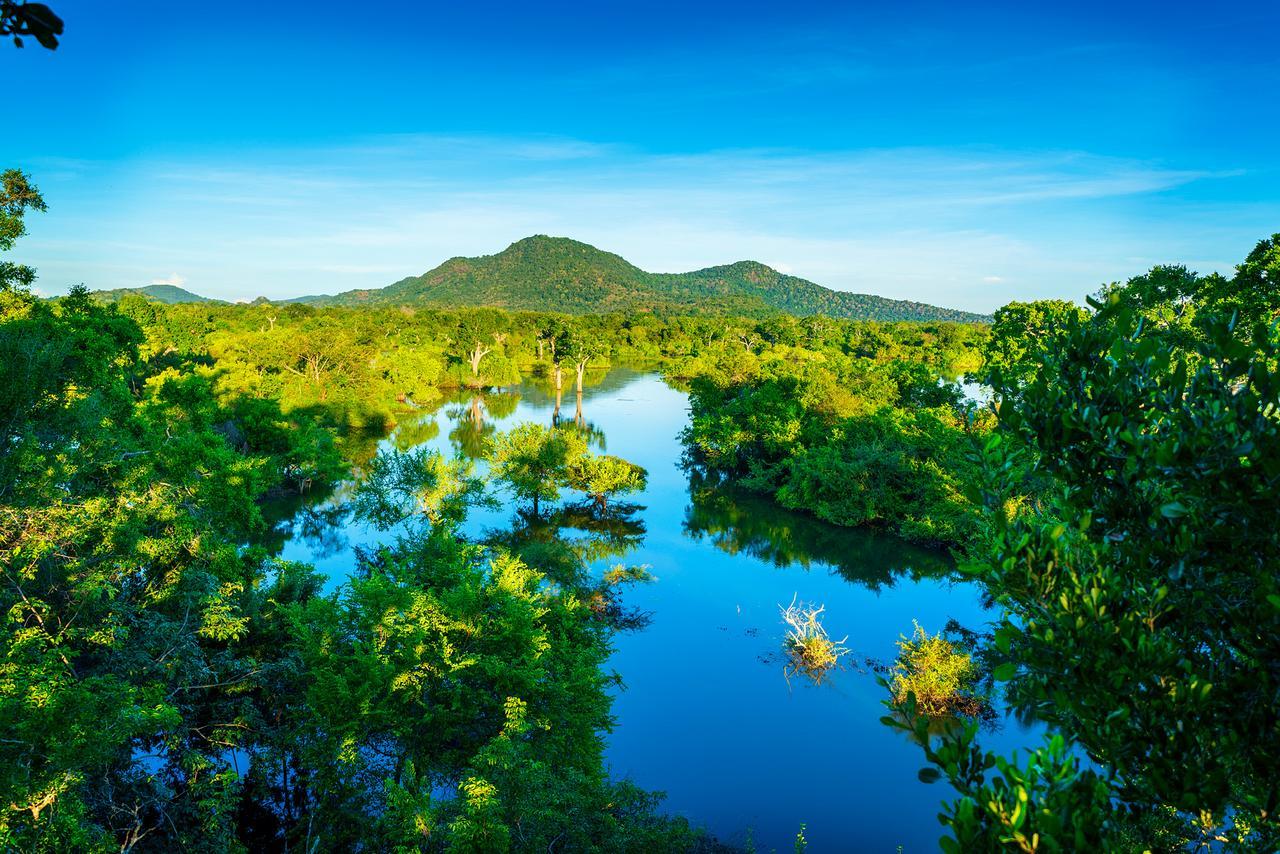 Hotel Kulu Safaris Parque nacional Parque nacional Yala Exterior foto