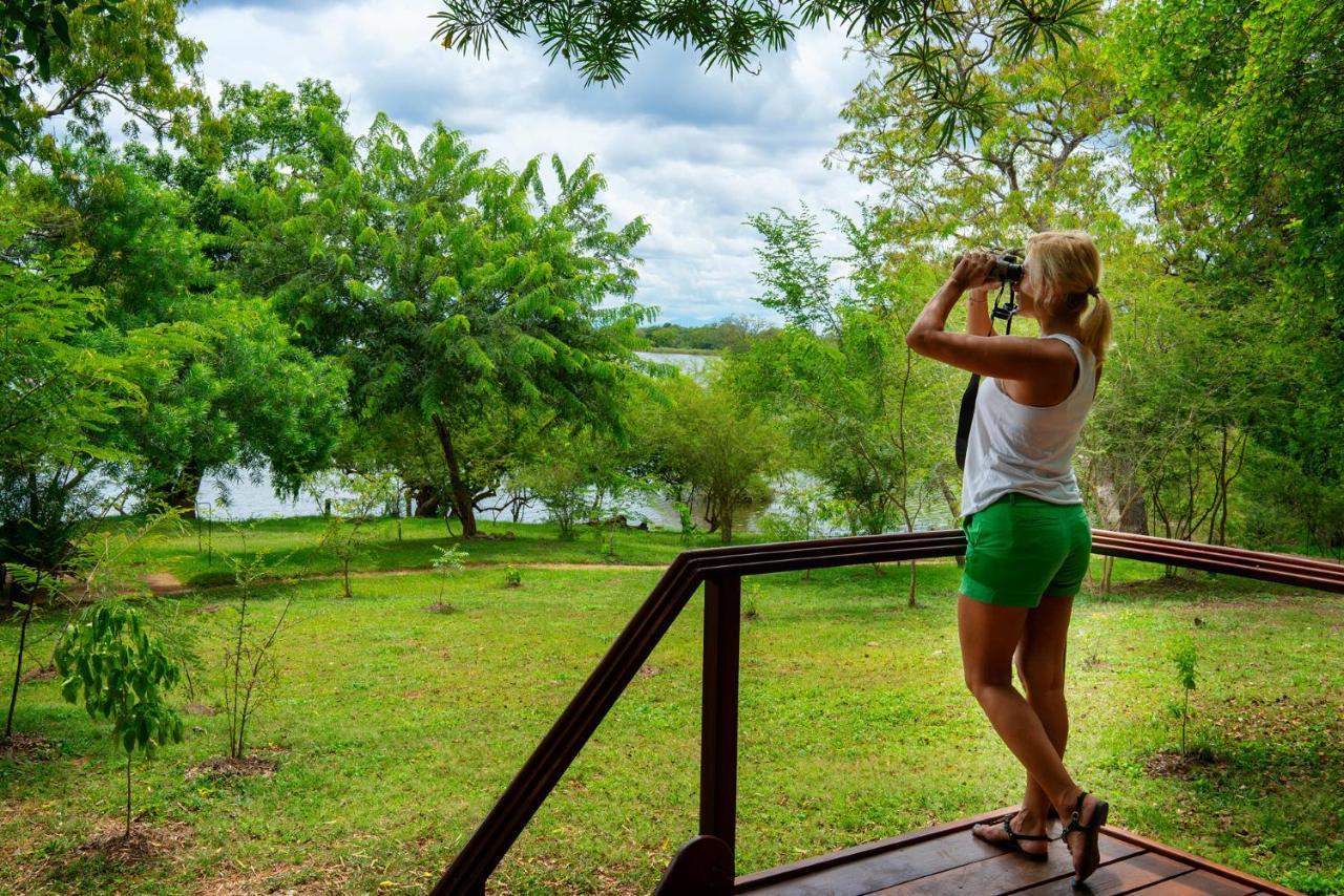 Hotel Kulu Safaris Parque nacional Parque nacional Yala Exterior foto